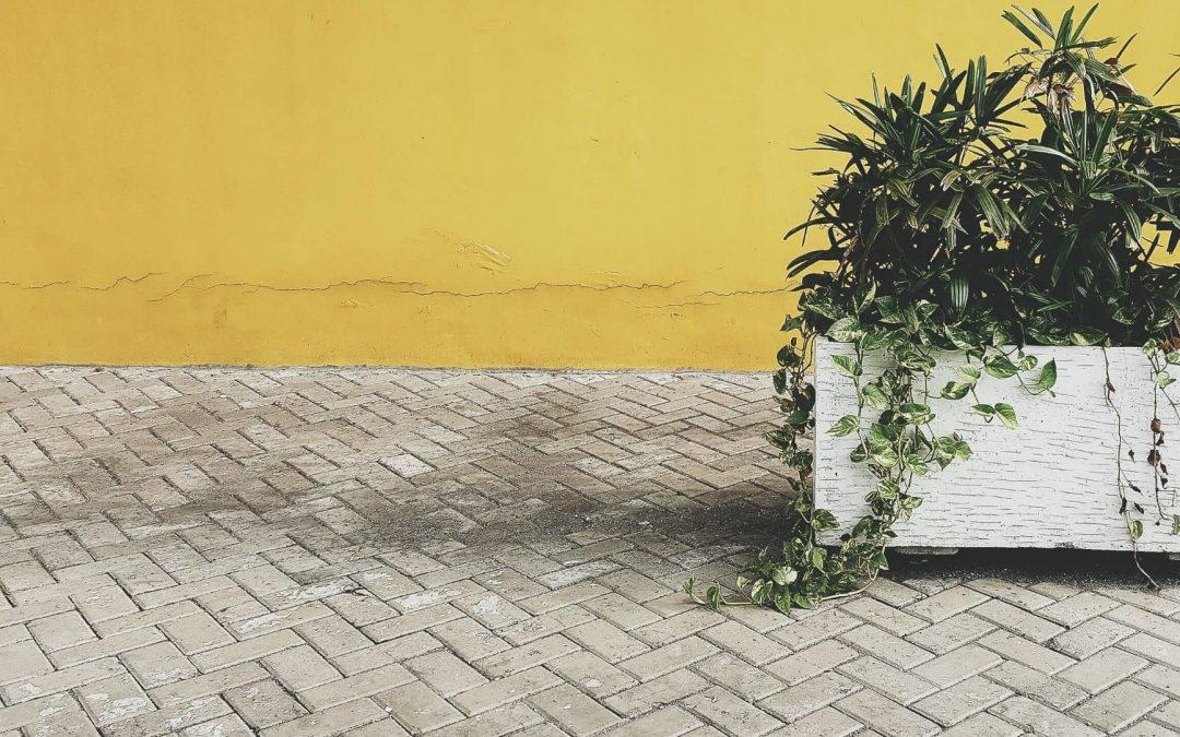 Comment bien choisir son entrepreneur en pavage?